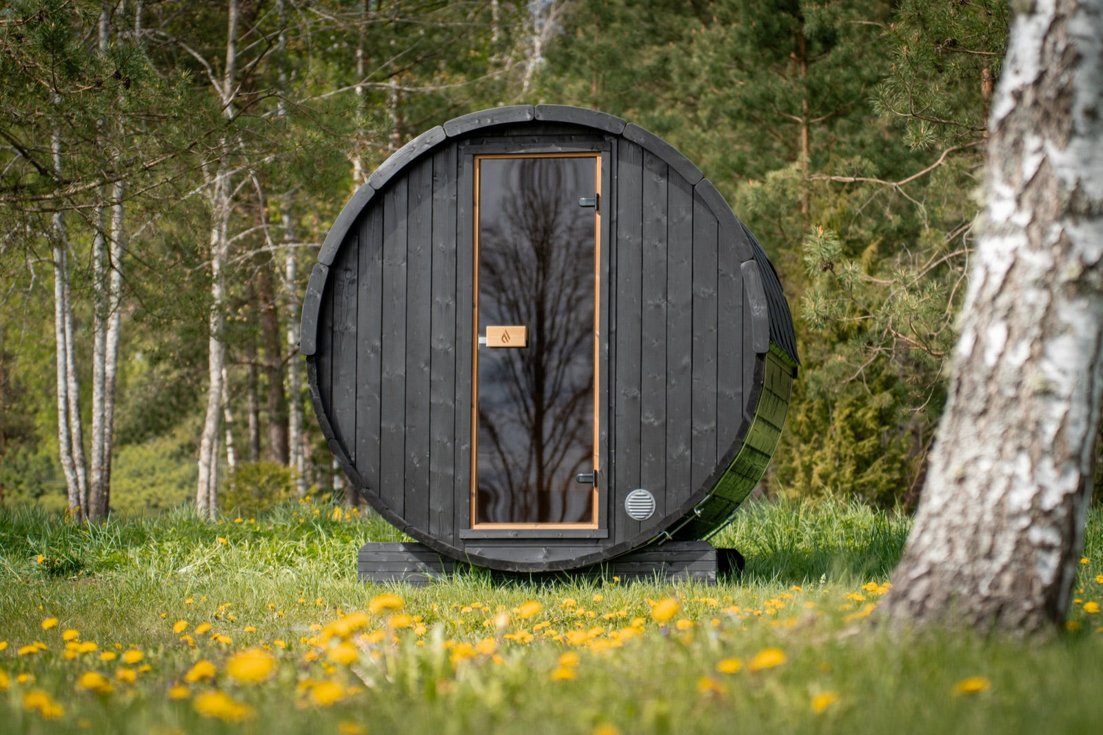 Cove Barrel sauna in black, front on, standing on grass among birch trees