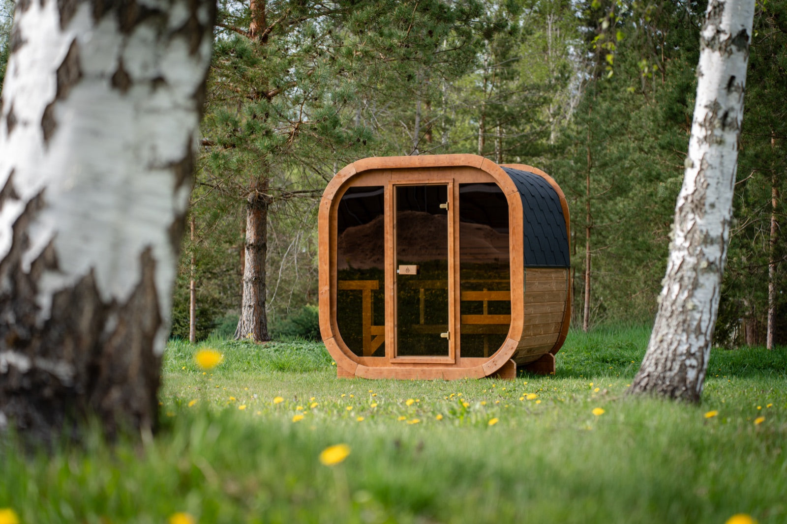 Max Traditional Sauna 2.0 in a birch forest